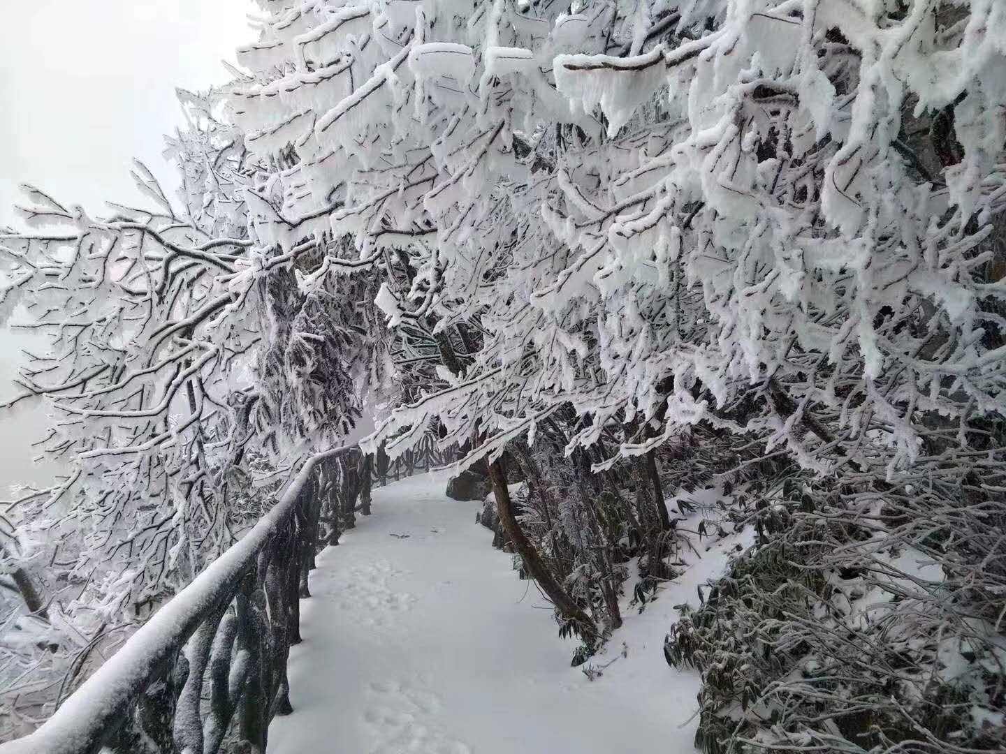 天门山简直美爆了!先送上一波张家界美图不多说下雪了!下雪了!