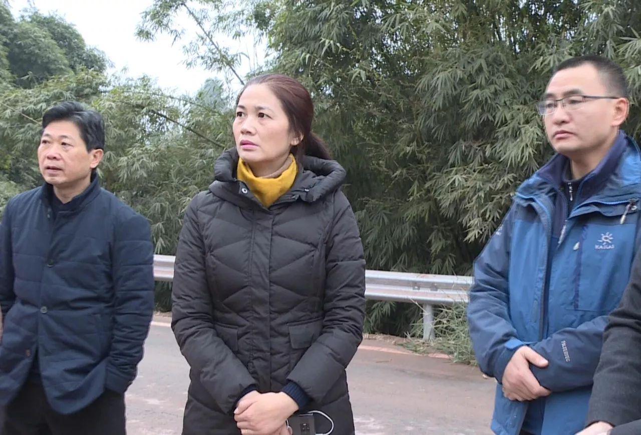 今天(1月3日,东兴区委书记徐炼英率队督查川南城际铁路(东兴段)进展