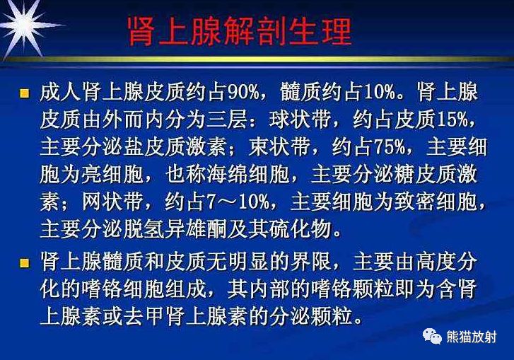 精彩解剖丨肾脏,输尿管,膀胱,肾上腺,前列腺