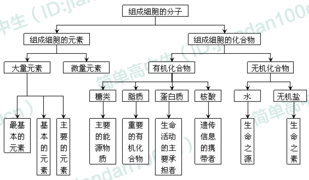 高中生物必修一概念图汇总,敢说你不需要吗?