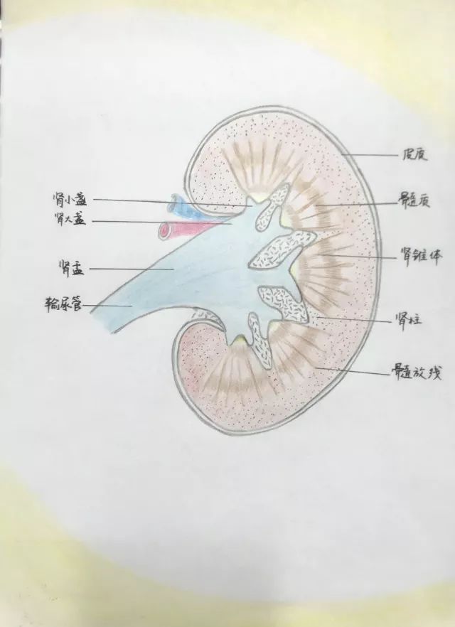 灵魂画手看了之后保证让你目瞪口呆