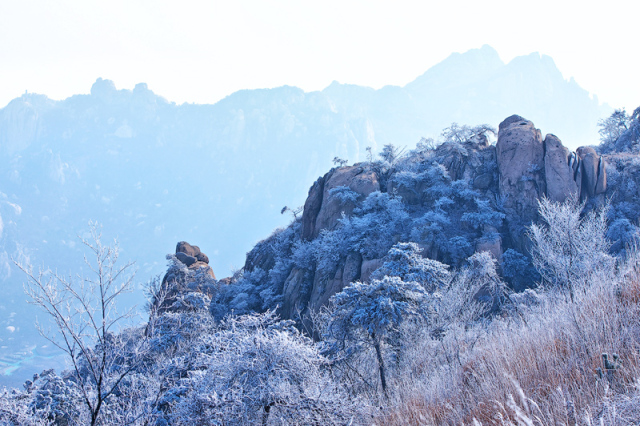 2018首场大雪正在路上快来九仙山看雪景吧