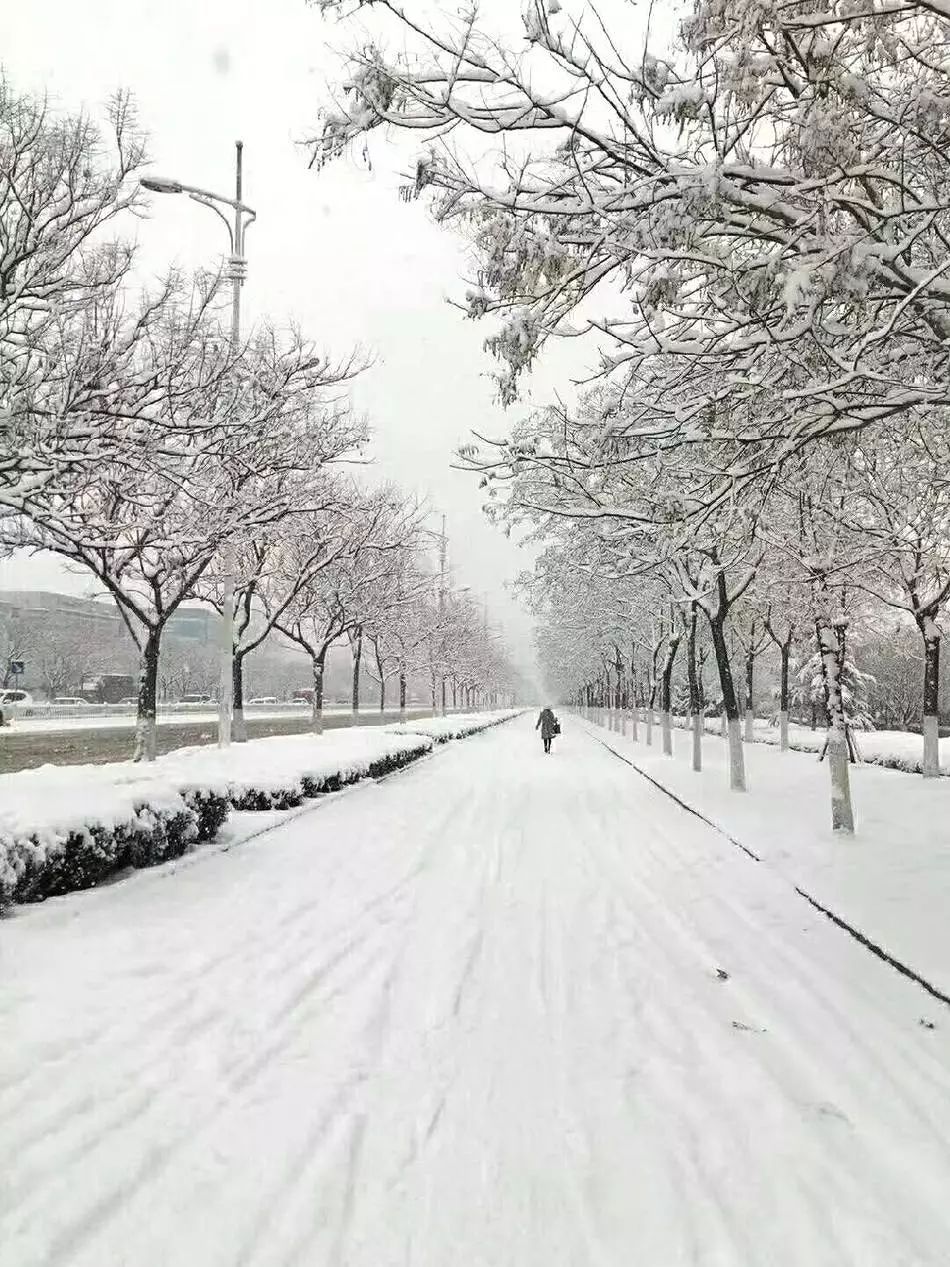 雪中景,雪中人,温暖雪中人!