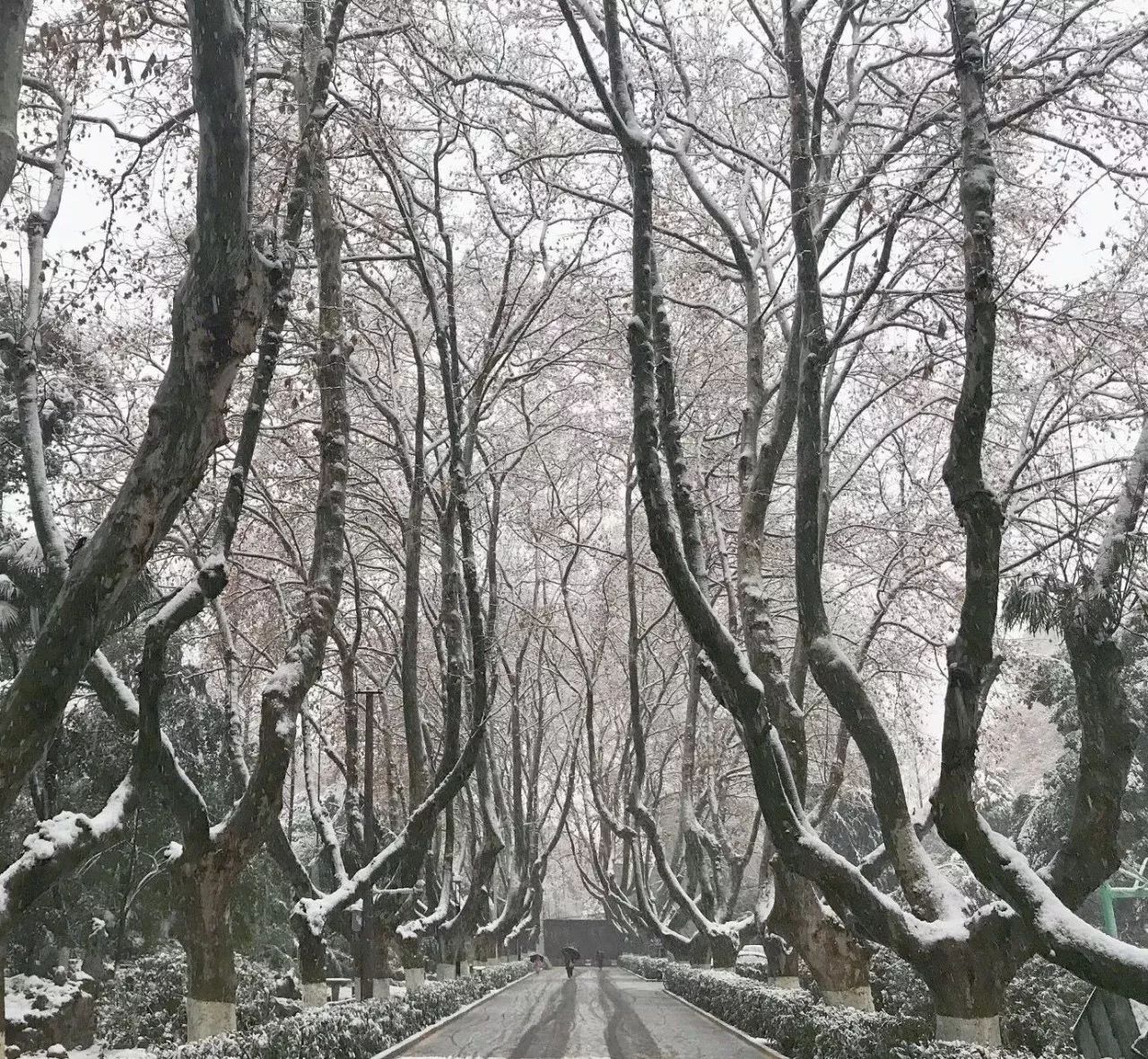 初雪如此甚好初雪和你都到了