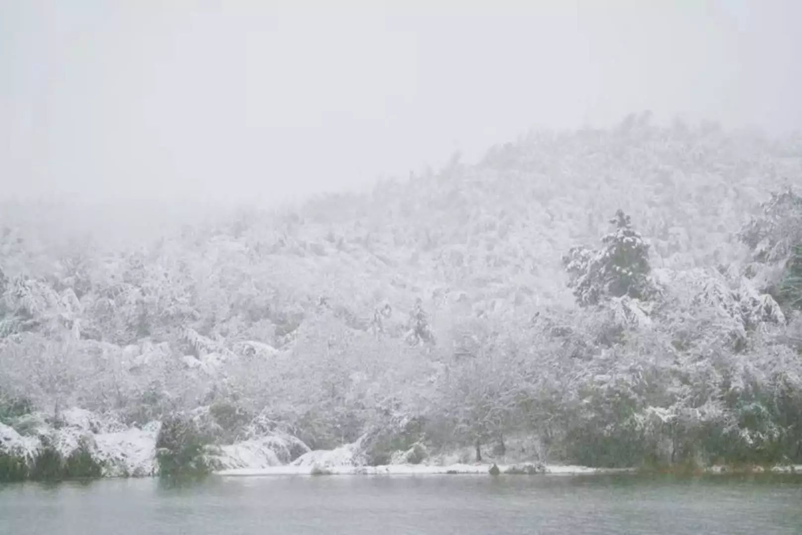 横山,蟠龙湖升起层层白雾,与雪花融在一起,如梦如幻,如诗如画.
