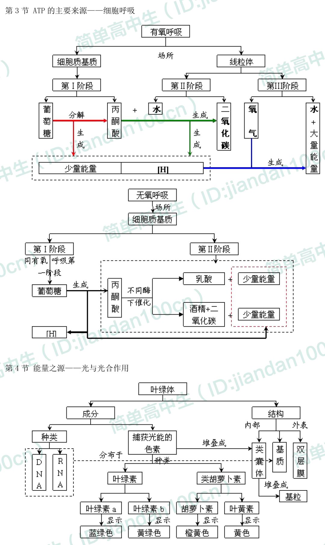 教育 正文  主要:酶,atp,细胞呼吸,有氧呼吸,无氧呼吸,光合作用,光