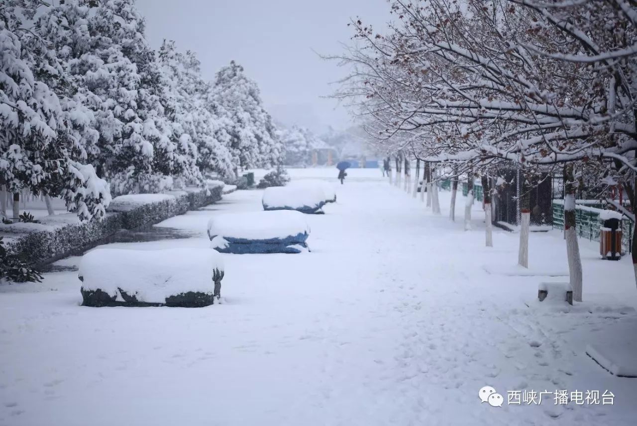 西峡遭遇入冬以来最强降雪!第二场雪正在路上!