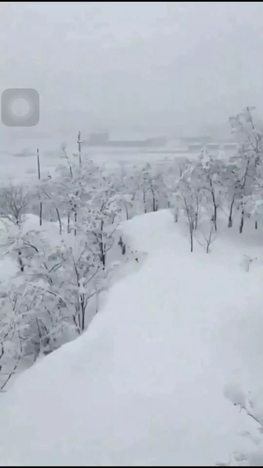 黄冈人口限行_黄冈师范学院(3)