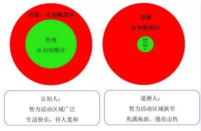 苍井空:你那过强的道德感,正在暴露你的低智商