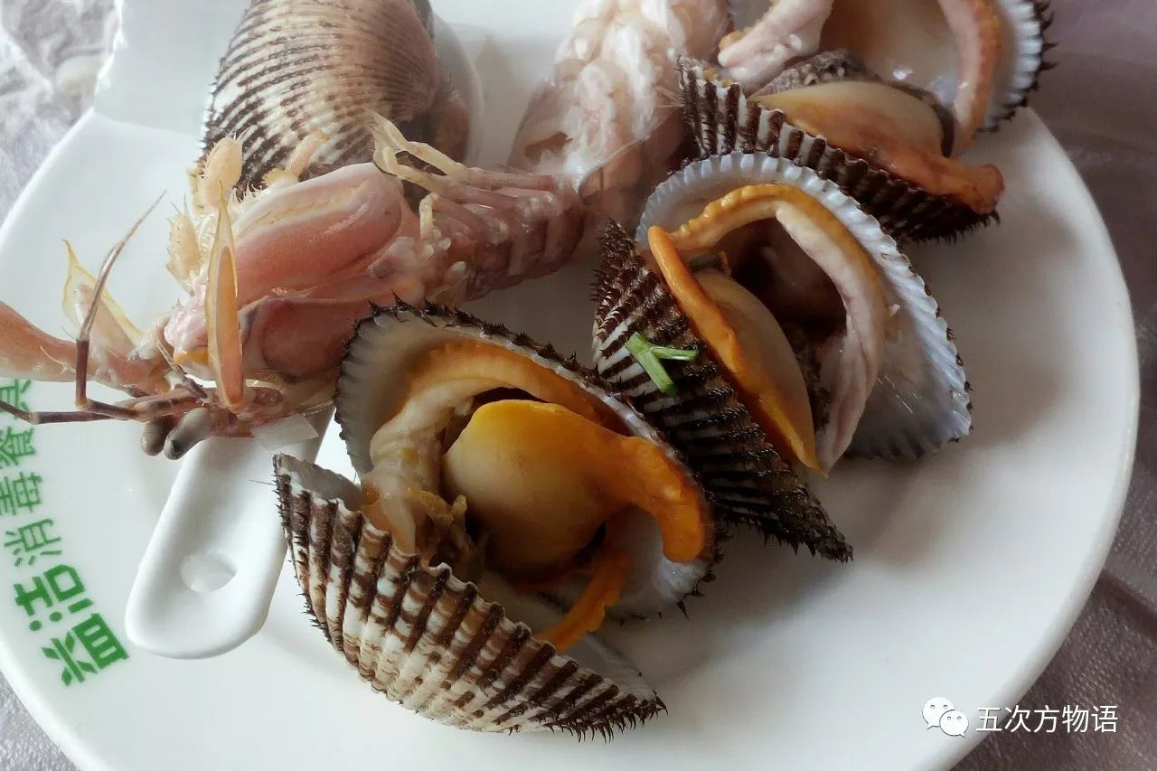 青岛最常见的十大双壳类海鲜