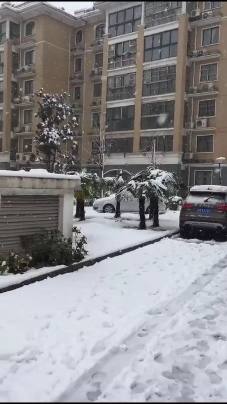 【大厂雪景】2018年的第一场大雪,让大厂的小伙伴们激动坏了!