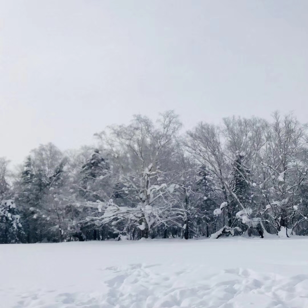 2018年下雪啦!这些雪国,雪景,美哭了!