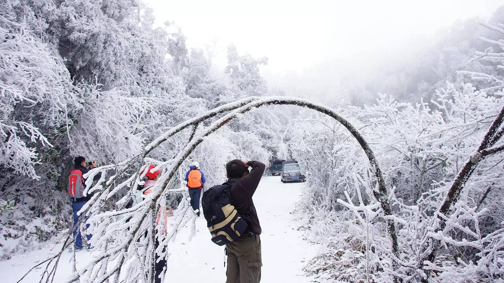 美如雪国都覆盖了一层层从万木葱茏到陡峭山路上去元宝山,看白云缭绕