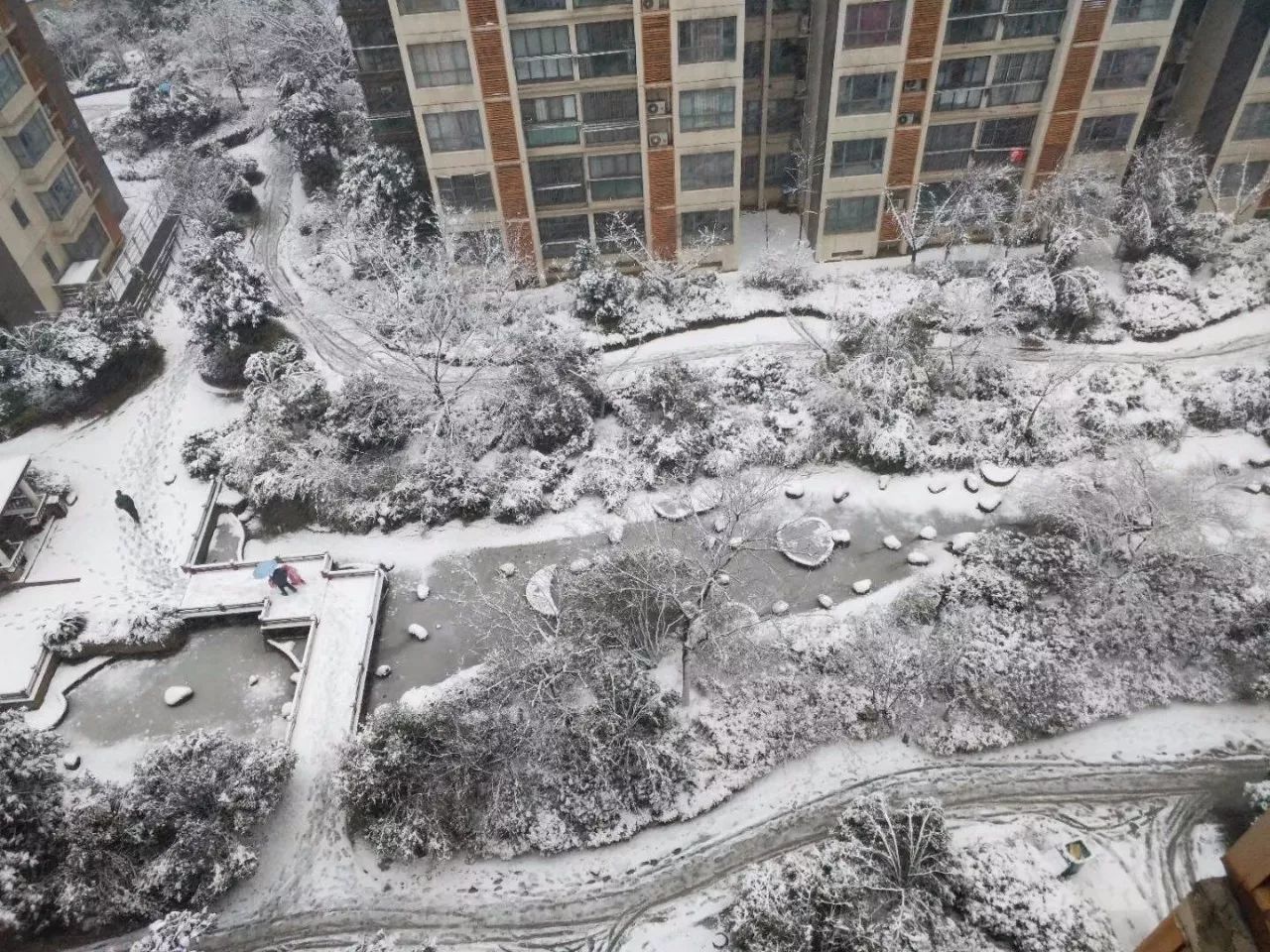 【大厂雪景】2018年的第一场大雪,让大厂的小伙伴们激动坏了!