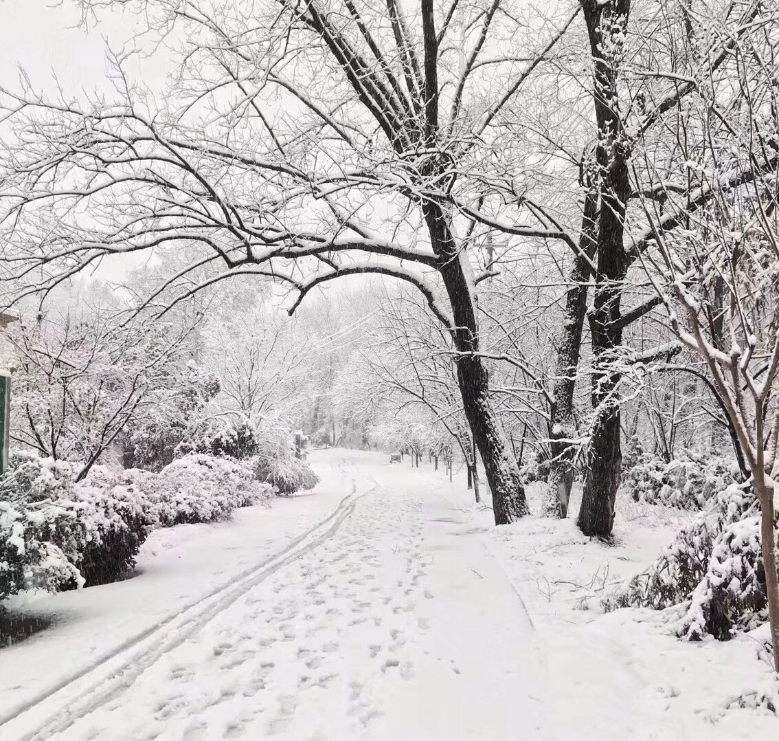 【大厂雪景】2018年的第一场大雪,让大厂的小伙伴们激动坏了!