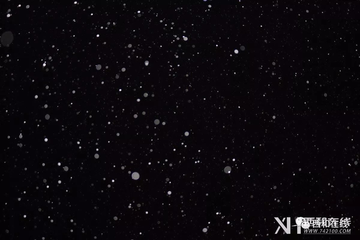 【多图】西和的雪天夜景,真心美的不像话.