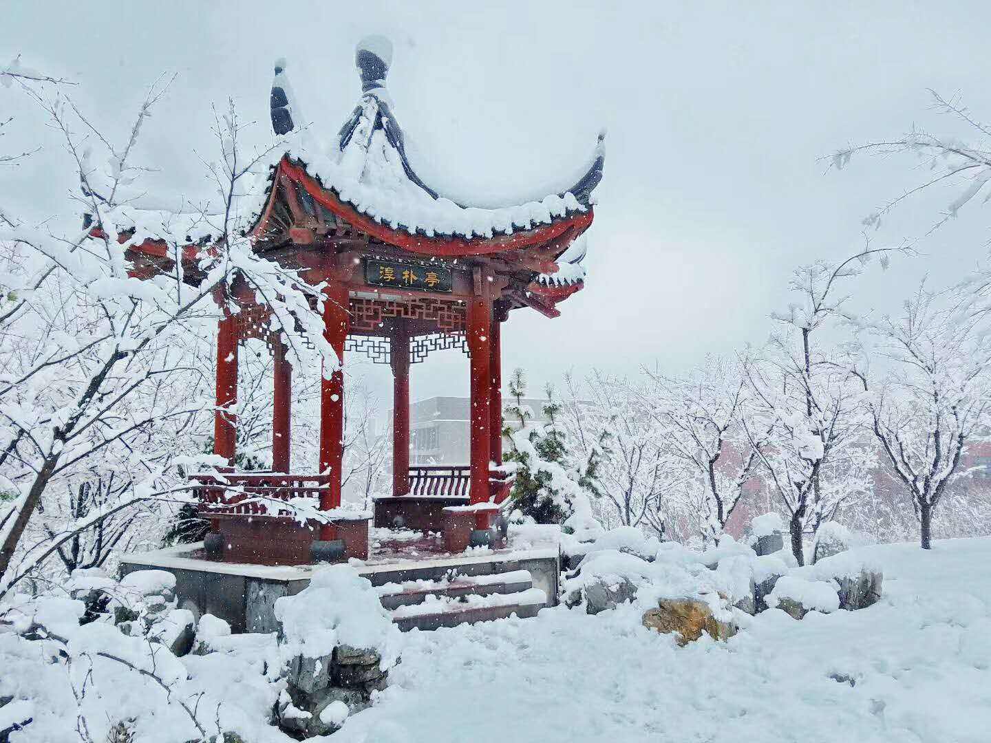 北京的初雪尚未到来 或许俞平伯笔下陶然亭的雪 不小心落在了淳朴亭