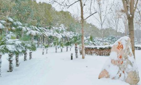 河南高校雪景大集合,哪一所是你的最爱?