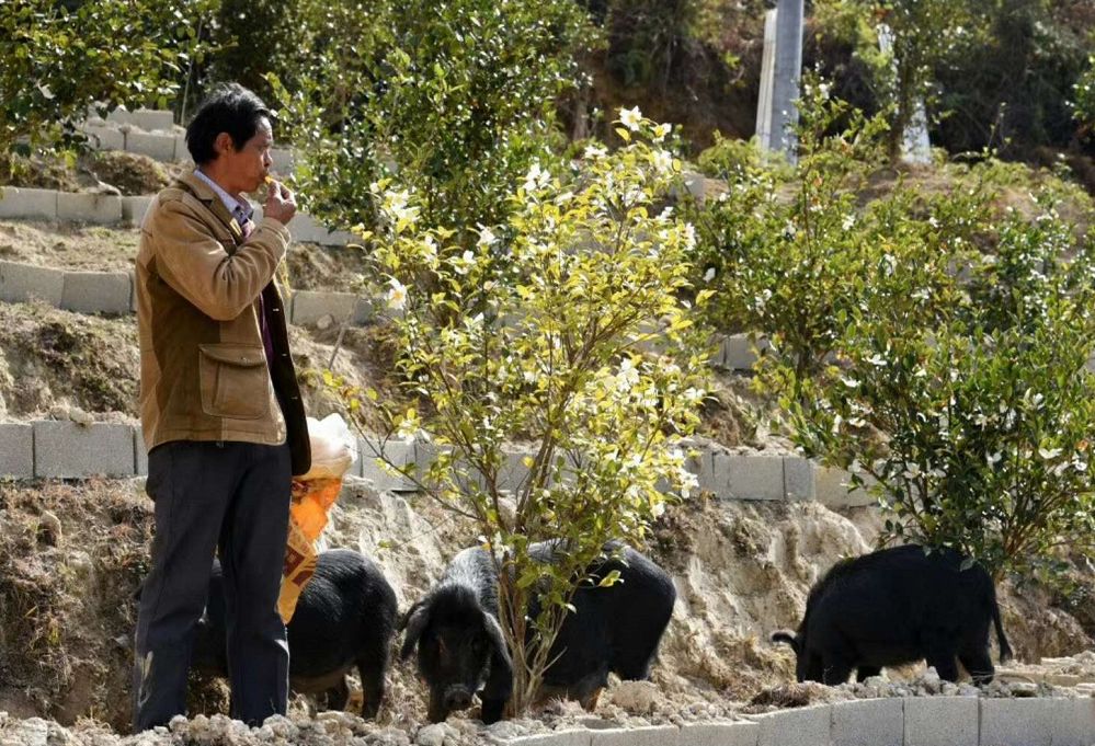 桂阳界牌村人口多少_桂阳望湖山庄门票多少(3)