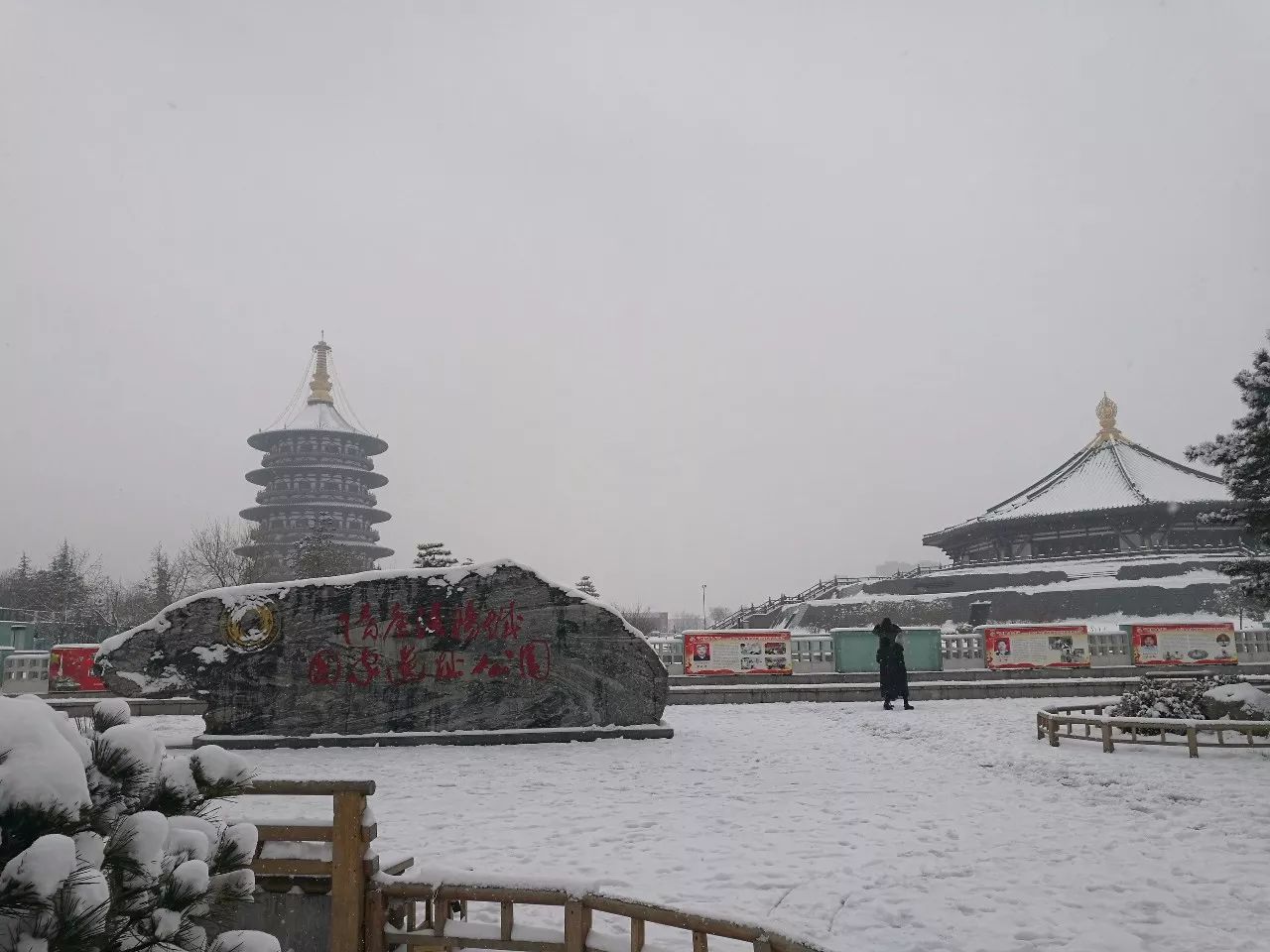 2018年第一场雪终于抵达洛阳!高清大图曝光!扎心的是.