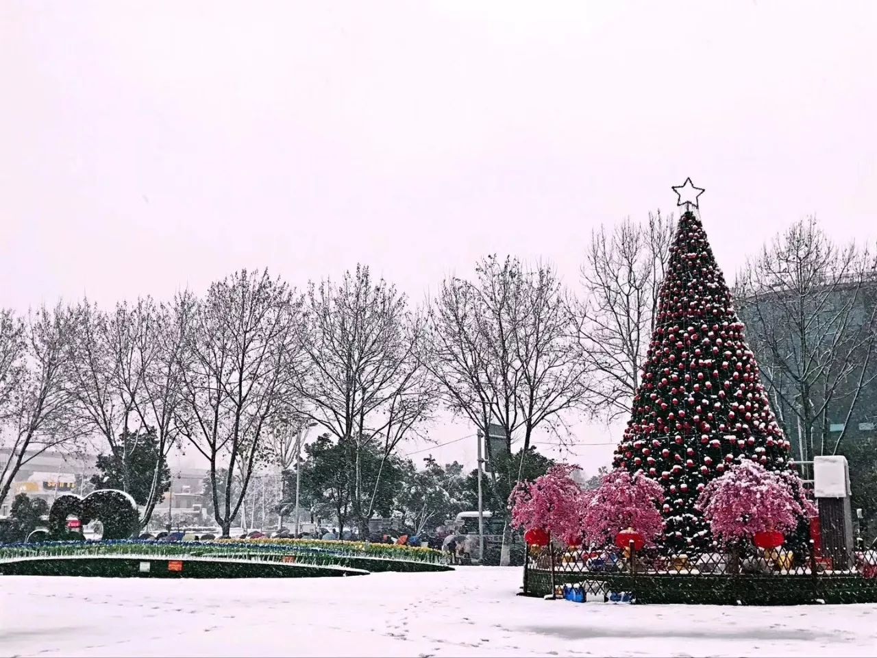 【大厂雪景】2018年的第一场大雪,让大厂的小伙伴们激动坏了!