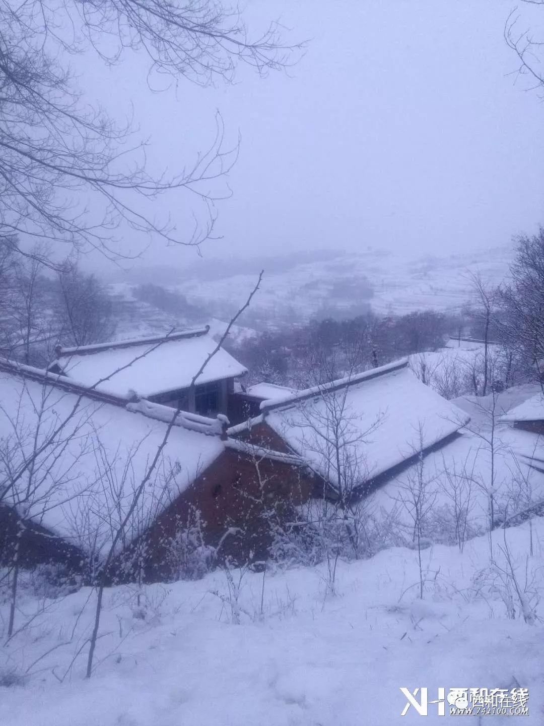 【多图】看了两天城里雪景,现在看看乡村雪景.