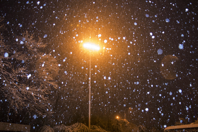 初雪|雪下得那么深,下得那么认真!