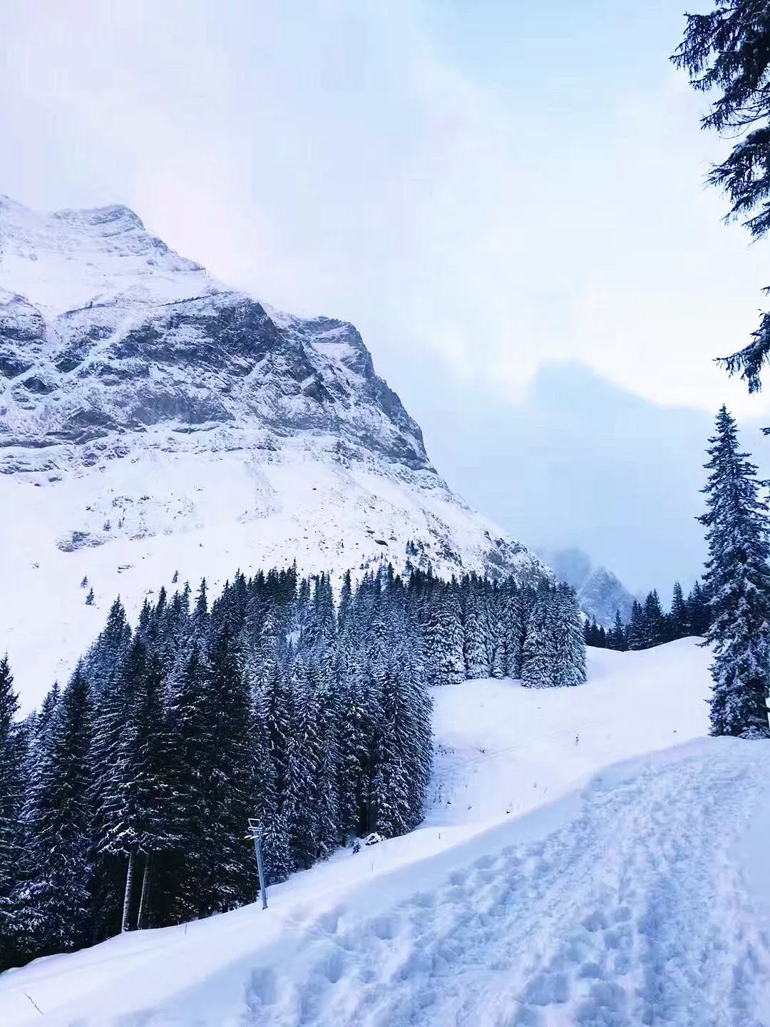 最美的雪景就在这儿了!