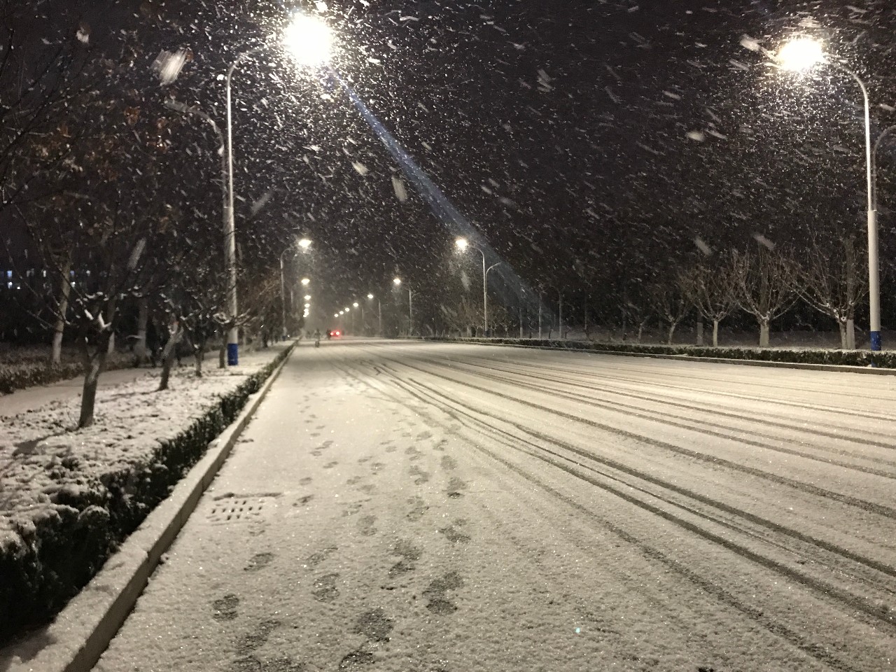 一场雪,只够爱一个人