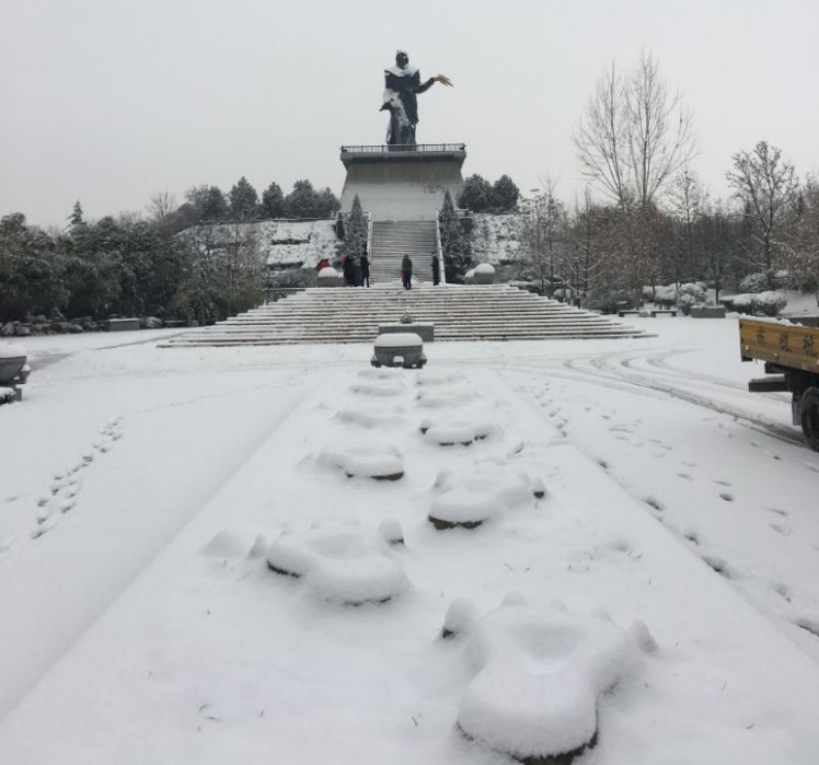 瑞雪从天而降从杨凌教稼园走向全国各地无论白天还是夜晚都是洋洋洒洒