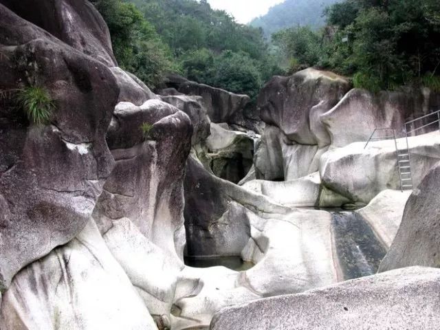 【红色之旅】福安白云山 廉村动车2日游