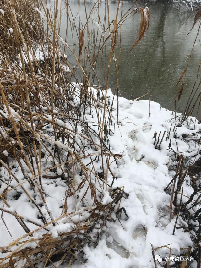 冬季钓鱼:下雪不能阻挡垂钓的步伐