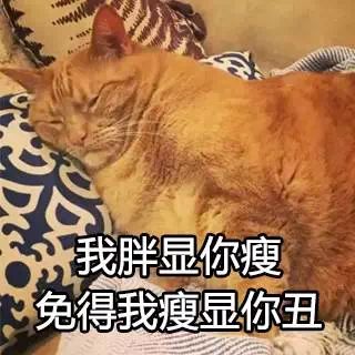 看了这只橘猫舔毛的模样,我才知道胖纸的喵生有多绝望