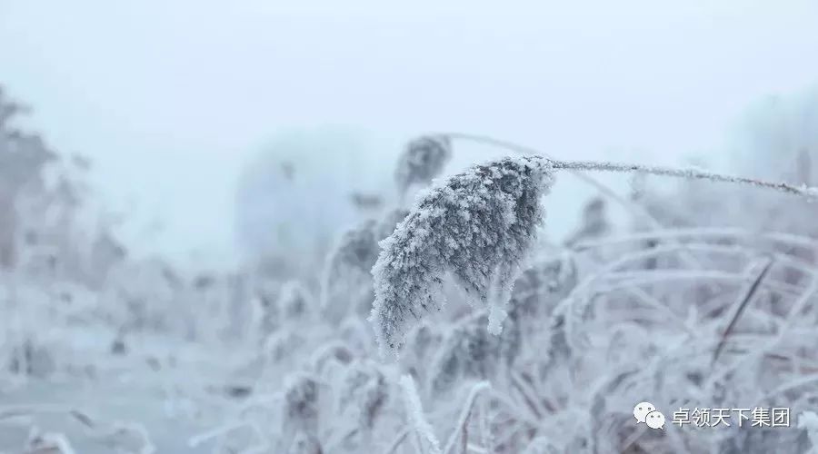 雪是如何形成的？