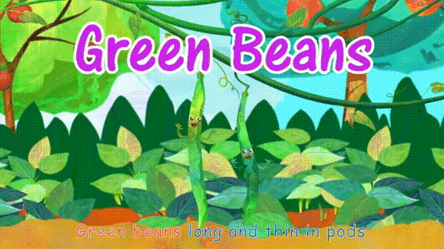 green beans 四季豆(复数)