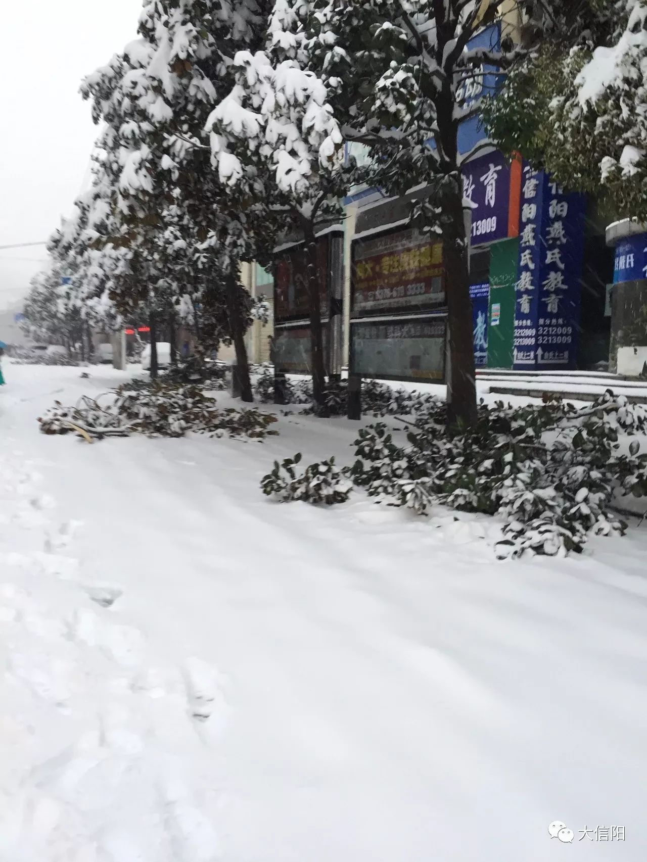 暴雪下的信阳停课停运封路一场大雪全城瘫痪