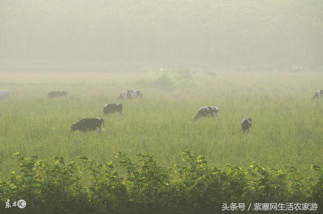 围场县城人口_围场人注意了 医疗费最高能报95 今日新鲜事儿(2)