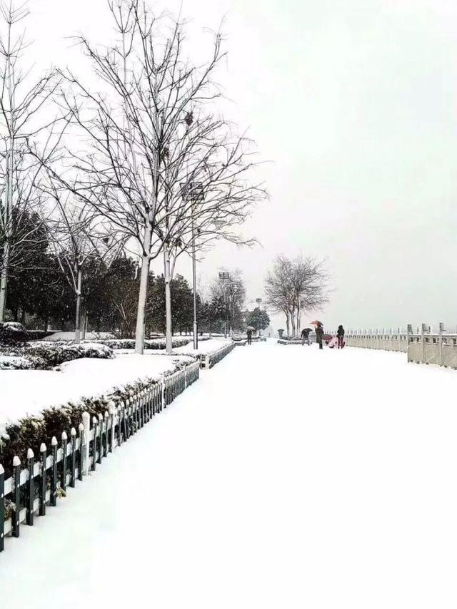 2018年安陆首场雪,你想看的海量雪景图都在这,还有