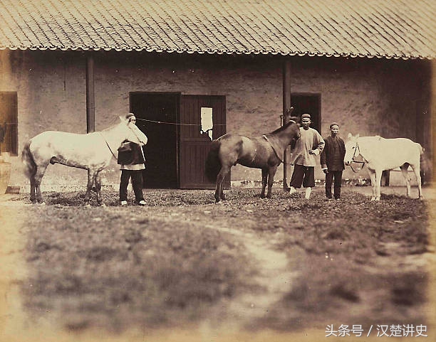 1880年代上海的马夫和马