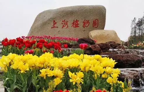 【科学种子科普行】孝行上植——上海植物园stem活动