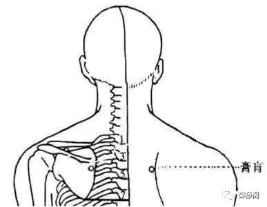 母婴 正文  取穴: 位于第三胸椎棘突旁开1.5, 属膀胱经.