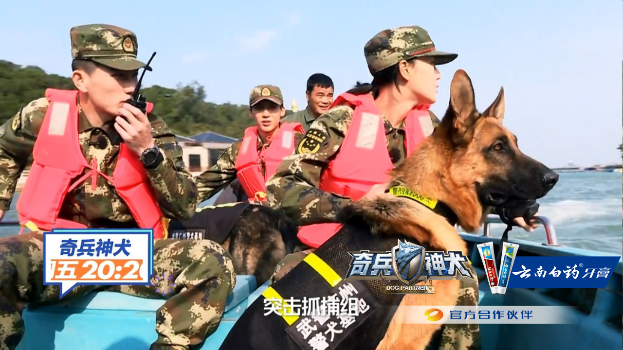 《奇兵神犬》感动热血收官 张馨予姜潮荒岛任务遇危机!