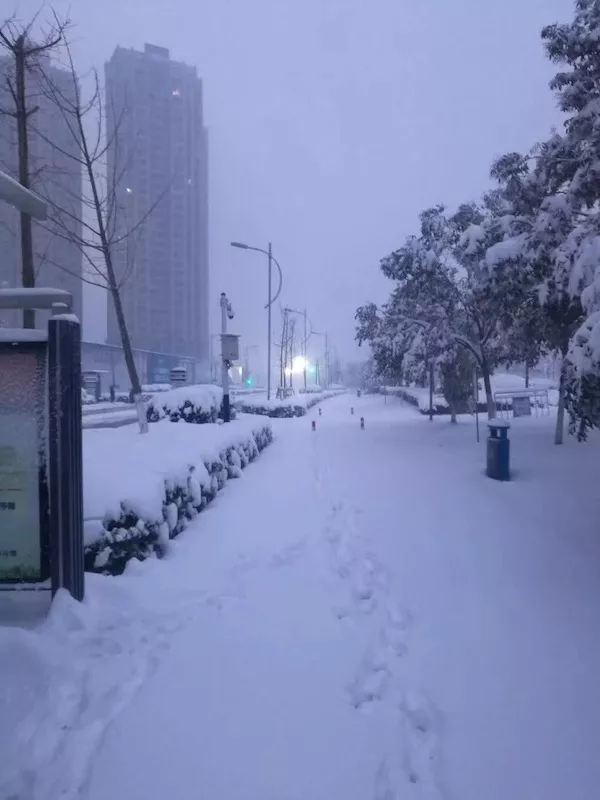 全国各地都在下雪,但看到最后我笑了