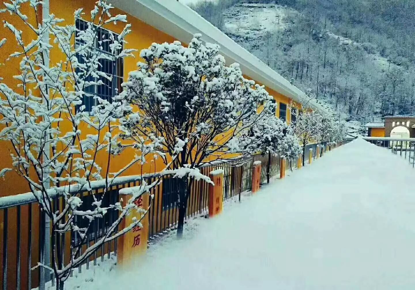 你在祖国的艳阳里看大雪纷飞,我在珀斯的烈日下等风来