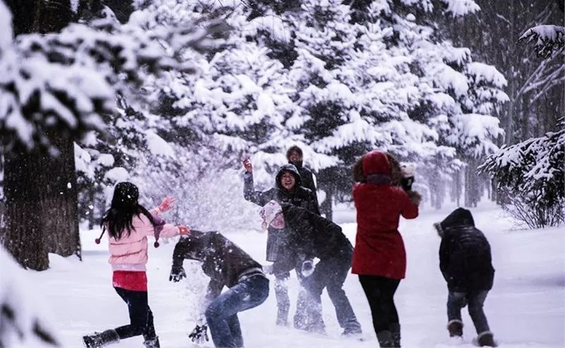 打雪仗,谁怕谁?