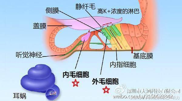 健全人口k_不健全关系图片