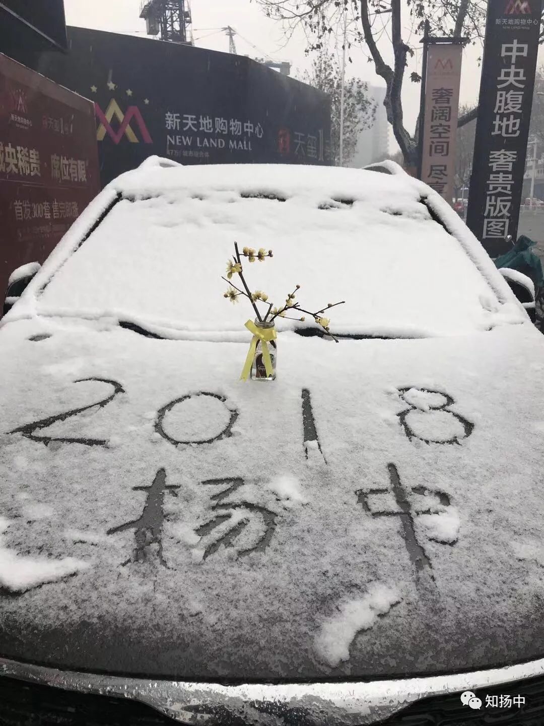 扬中人口_2018扬中第一场 雪拼 开始啦 还有雪人大PK 看看你的雪人在里面嘛(2)