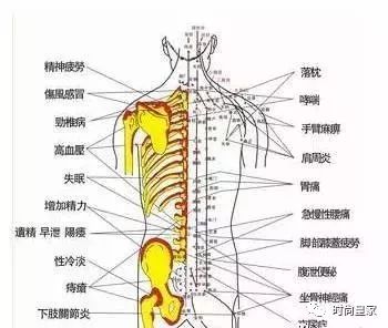 定期做背的好处!