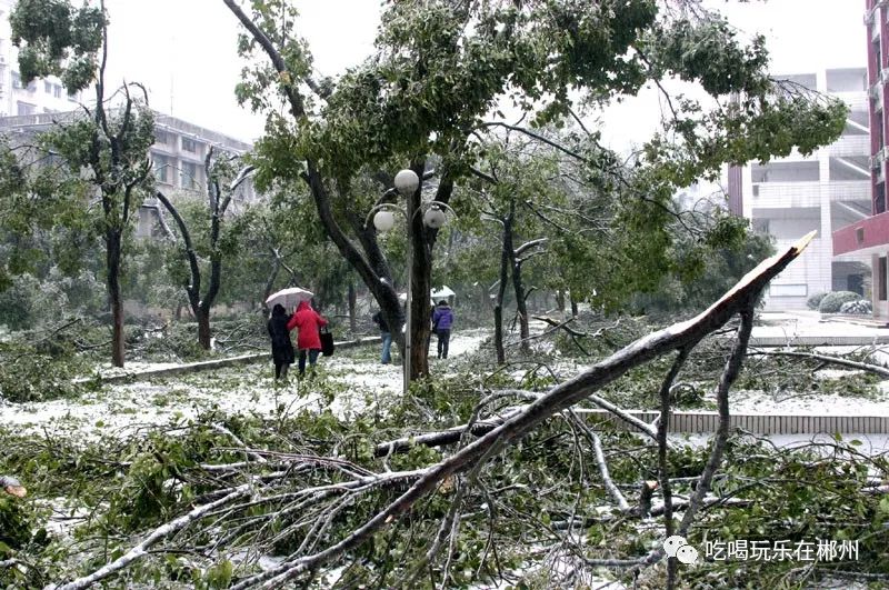 上一次看到这么大的雪 @阳光丫头 2008年1月13日,一场冰灾袭击郴州