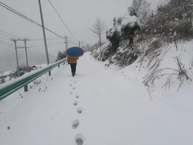 水田坝人口_秭归县水田坝乡图片